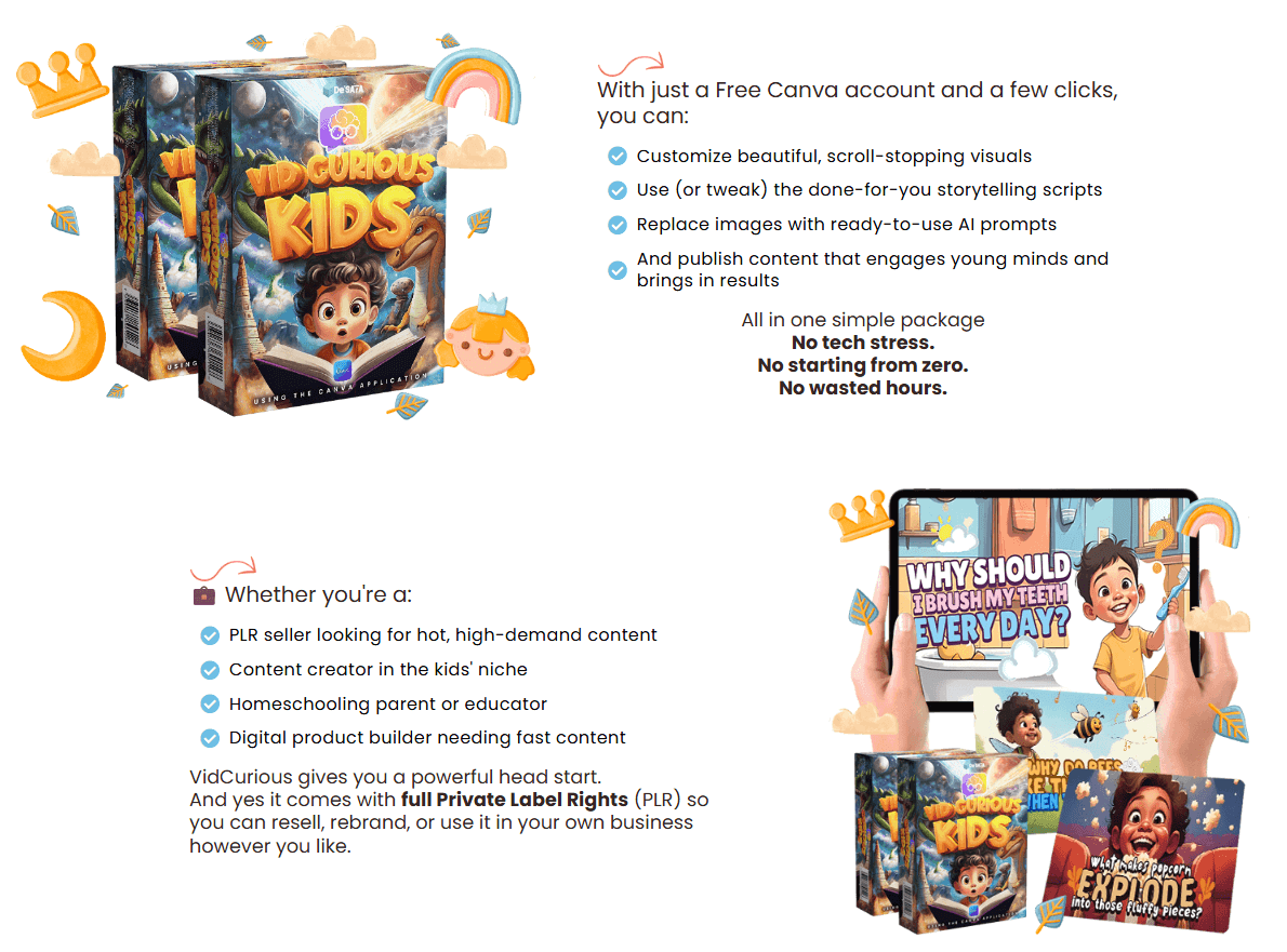 VidCurious Review