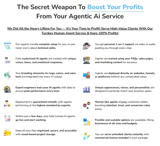 Agentic AI Review