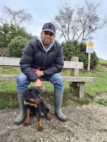 Automated Commission System Review