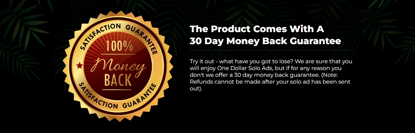 One Dollar Solo Ads Review