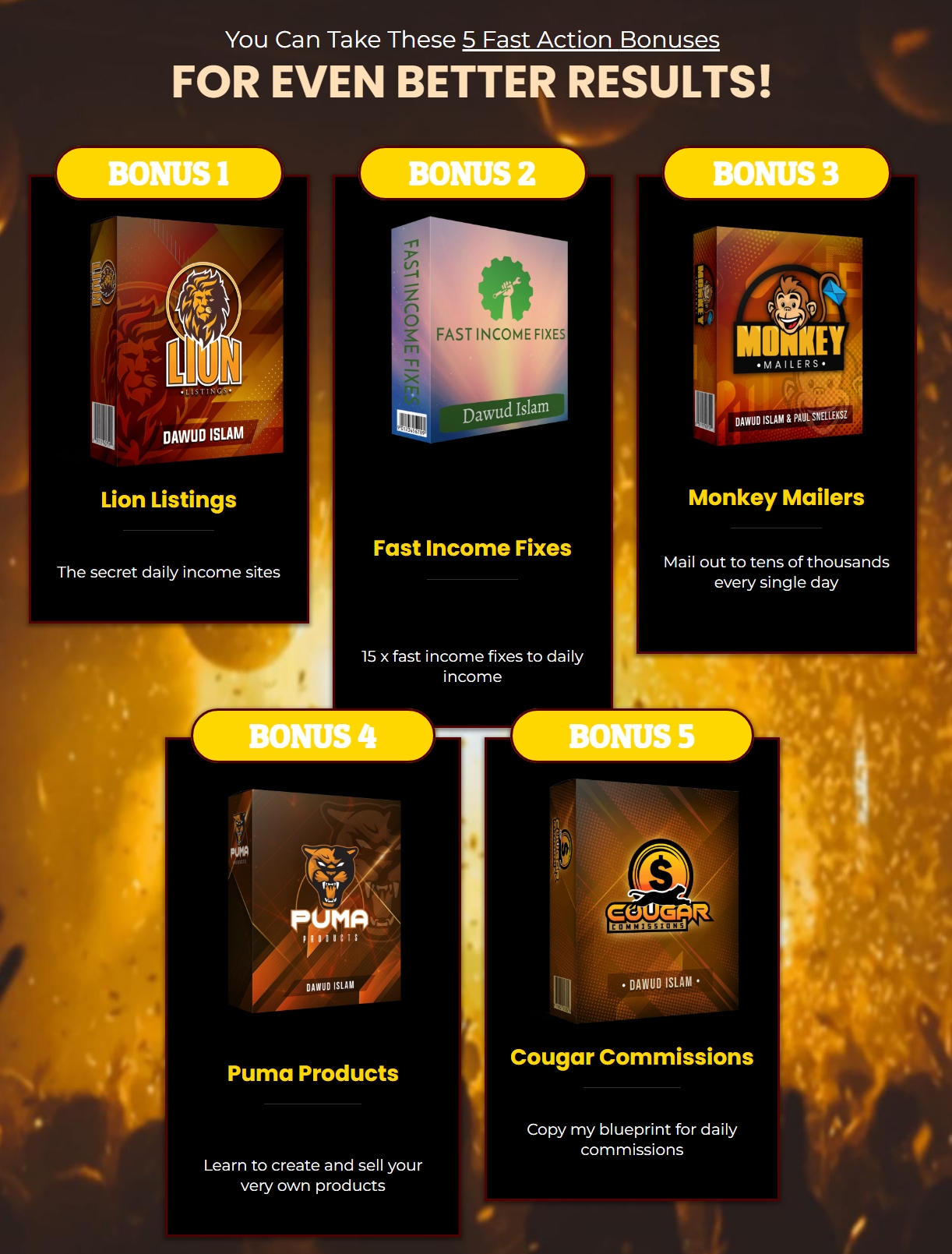 New Year Income System Review